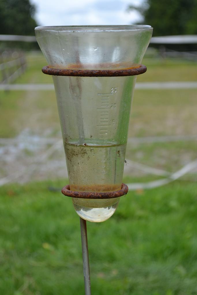 Storm_en_regen_150730 .jpg